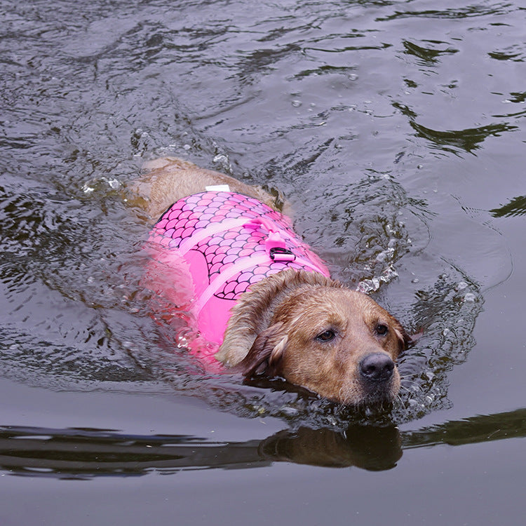 Make a Splash with Our Pet Life Jacket